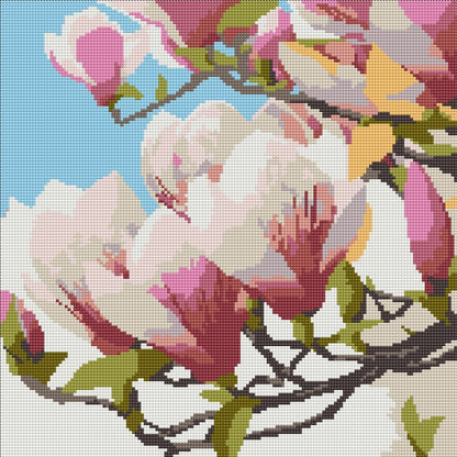 The Magnolia blooms design